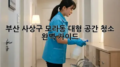 부산 사상구 모라동 대형 공간 청소 완벽 가이드
