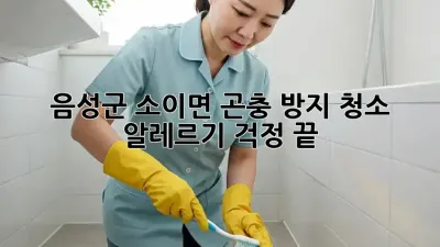음성군 소이면 곤충 방지 청소: 알레르기 걱정 끝!