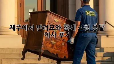 제주에서 반려묘와 함께 소형 용달 이사 후기